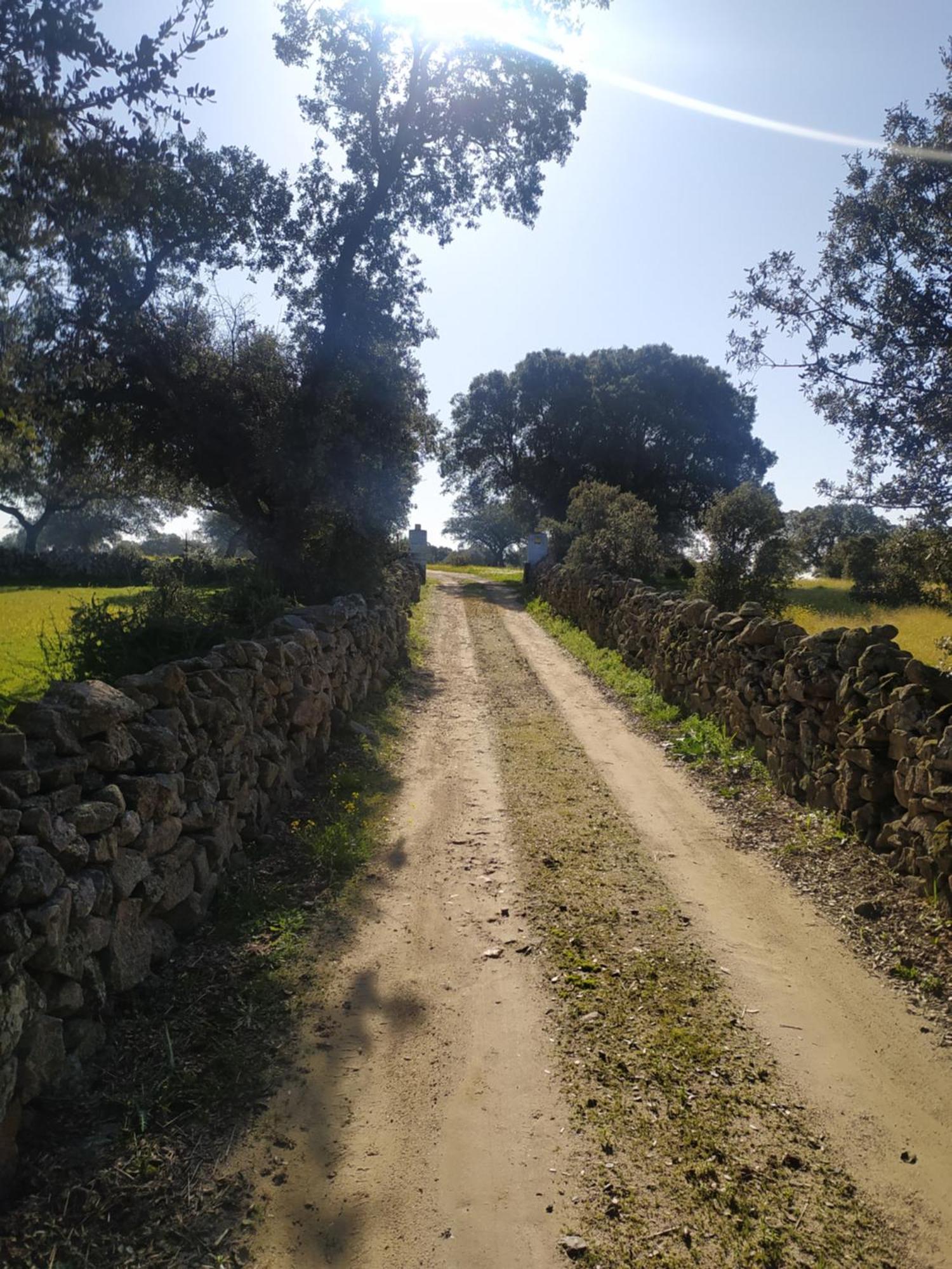Finca Las Gamitas Almoharin Kültér fotó